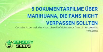 5 Cannabis-Dokumentarfilme, die man gesehen haben muss