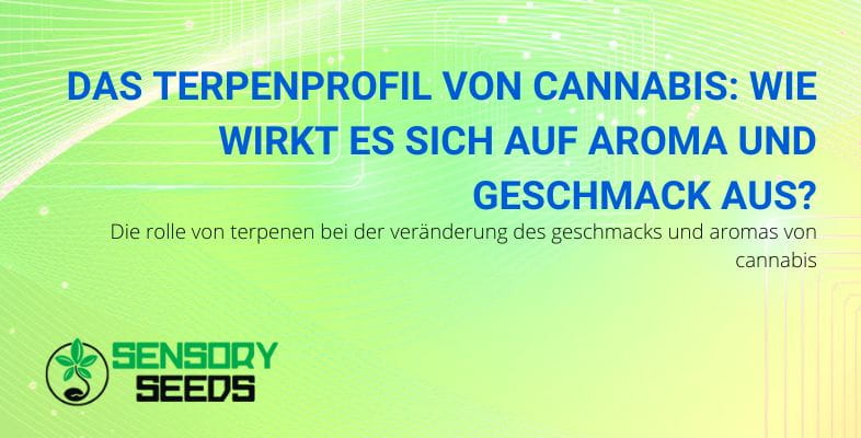 Terpenprofil von Cannabis | SensorySeeds