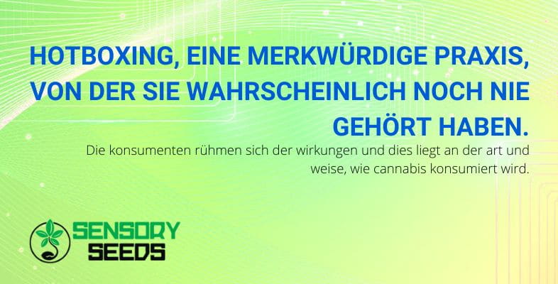 Hotboxing was es ist | SensorySeeds