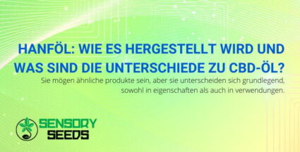 Unterschiede zwischen Hanfölproduktion und CBD-Öl | SensorySeeds