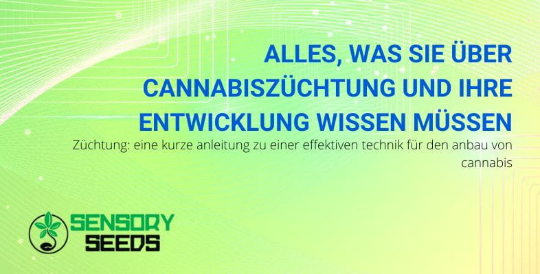 Alles über die Züchtung von Cannabis | SensorySeeds