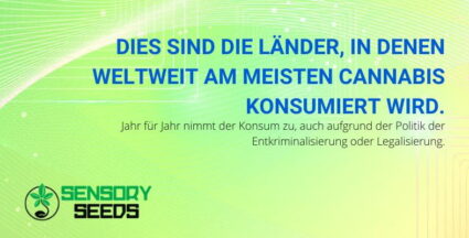 Wo auf der Welt das meiste Cannabis konsumiert wird | SensorySeeds