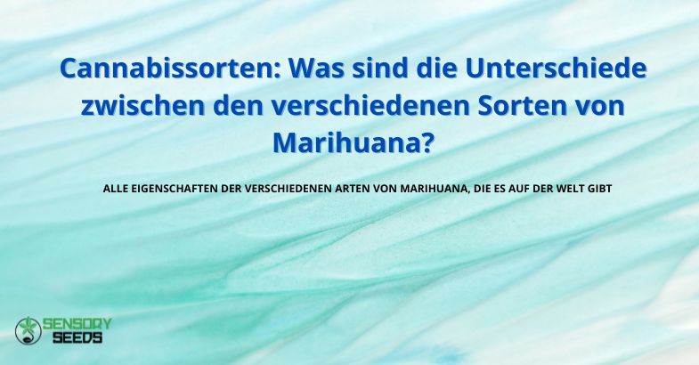 Cannabissorten: Sorten von Marihuana