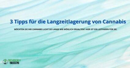 3 Tipps für die Langzeitlagerung von Cannabis