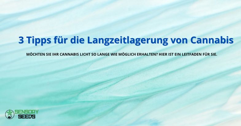 3 Tipps für die Langzeitlagerung von Cannabis