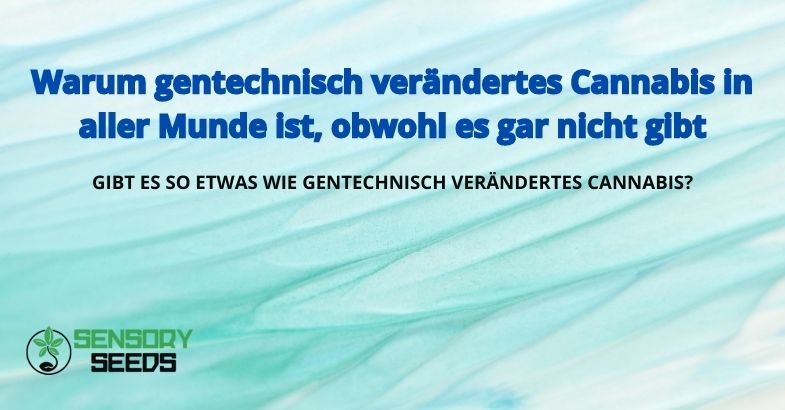 Warum gentechnisch verändertes Cannabis in aller Munde ist