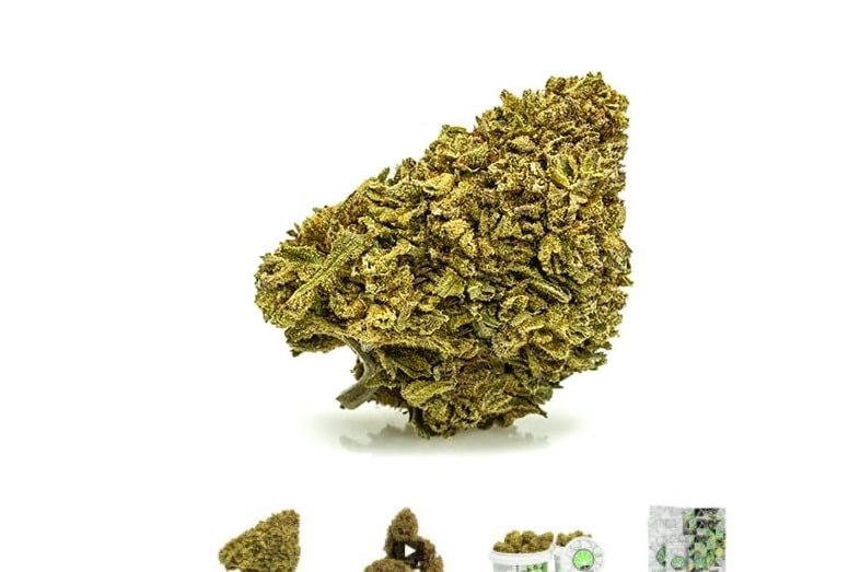 Cannabissorten von Marihuana