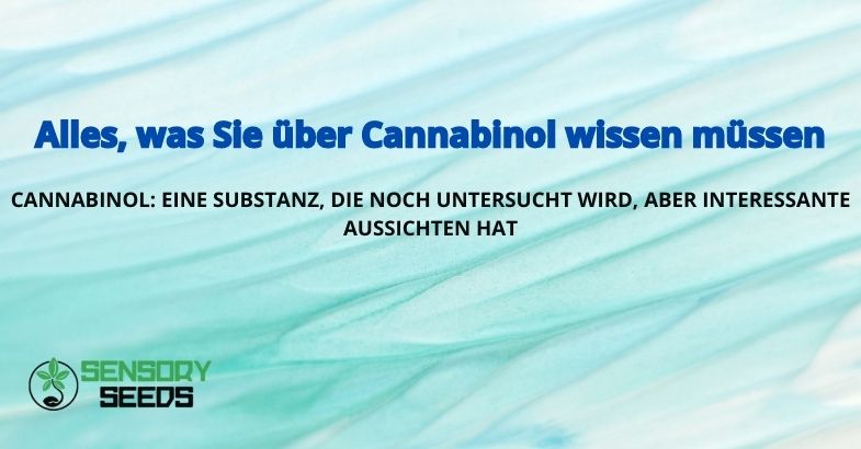 Alles, was Sie über Cannabinol wissen müssen