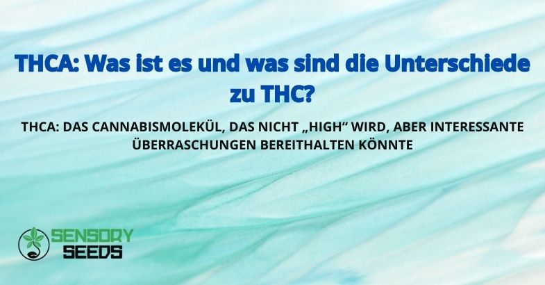 THCA: DAS CANNABISMOLEKÜL