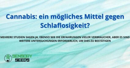 Cannabis: ein mögliches Mittel gegen Schlaflosigkeit?