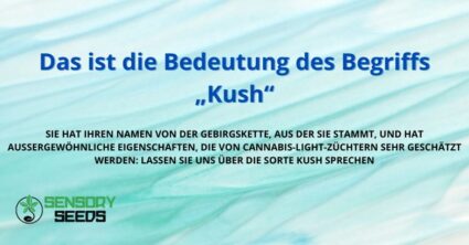 Das ist die Bedeutung des Begriffs „Kush“