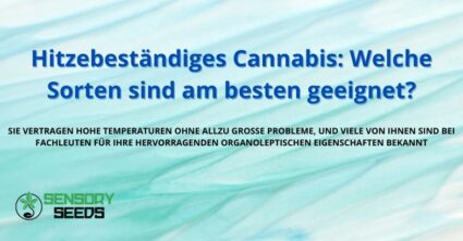 Hitzebeständiges Cannabis: Welche Sorten sind am besten geeignet?