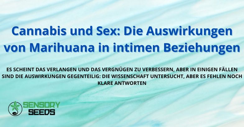 Cannabis und Sex: Die Auswirkungen von Marihuana in intimen Beziehungen