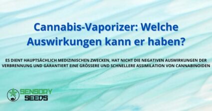 Cannabis-Vaporizer: Welche Auswirkungen kann er haben?