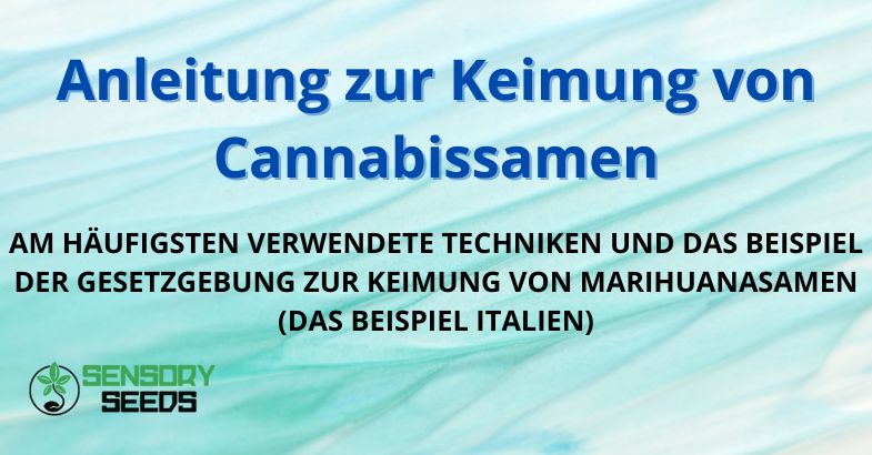 Anleitung zur Keimung von Cannabissamen