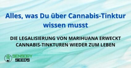 Alles, was Du über Cannabis-Tinktur wissen musst