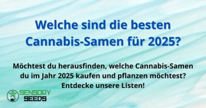 Welche sind die besten Cannabis-Samen für 2025?