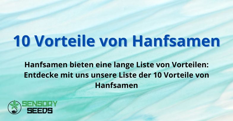 10 Vorteile von Hanfsamen