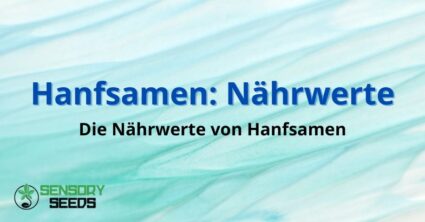 Hanfsamen: Nährwerte