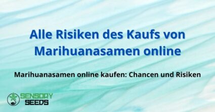 Alle Risiken des Kaufs von Marihuanasamen online