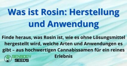 Was ist Rosin: Herstellung und Anwendung