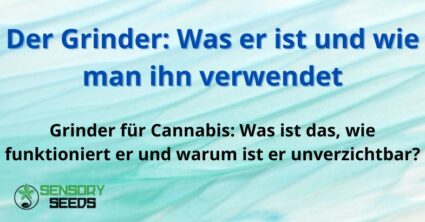 Der Grinder: Was er ist und wie man ihn verwendet