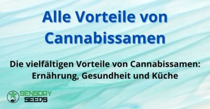 Alle Vorteile von Cannabissamen