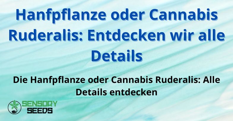 Hanfpflanze oder Cannabis Ruderalis: Entdecken wir alle Details