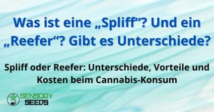 Spliff oder Reefer: Unterschiede