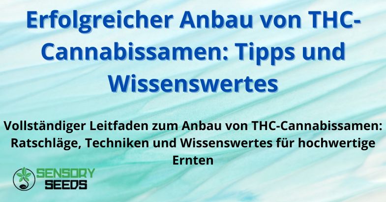 Erfolgreicher Anbau von THC-Cannabissamen: Tipps und Wissenswertes