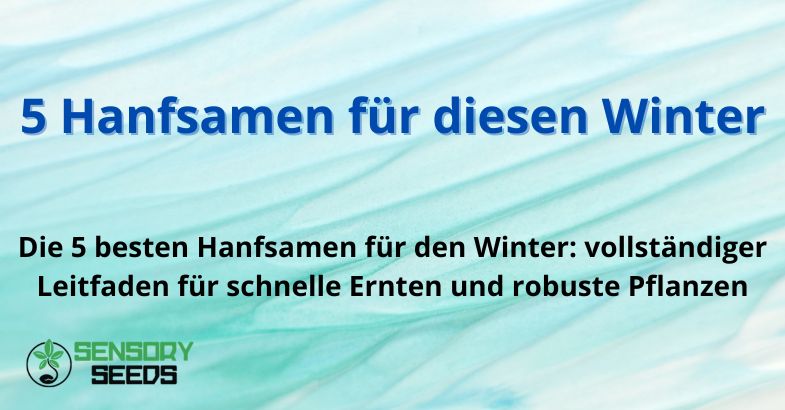 5 Hanfsamen für diesen Winter