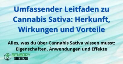 Umfassender Leitfaden zu Cannabis Sativa: Herkunft, Wirkungen und Vorteile