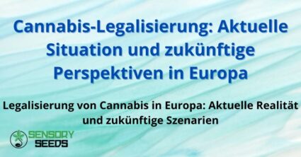 Cannabis-Legalisierung: Aktuelle Situation und zukünftige Perspektiven in Europa