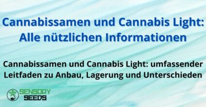 Cannabissamen und Cannabis Light: Alle nützlichen Informationen