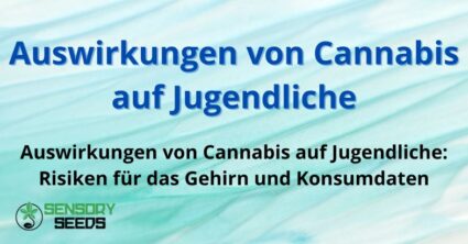 Auswirkungen von Cannabis auf Jugendliche