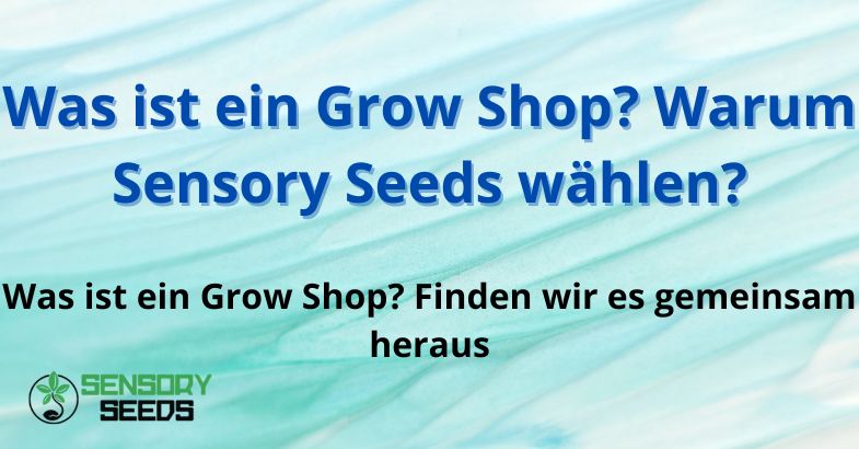 Was ist ein Grow Shop? Warum Sensory Seeds wählen?