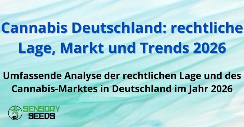 cannabis-deutschland-lage-markt-trends Cannabis Deutschland: rechtliche Lage, Markt und Trends 2026