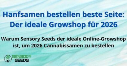 Hanfsamen bestellen beste Seite: Der ideale Growshop für 2026