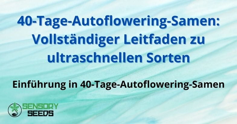 40-Tage-Autoflowering-Samen 40-Tage-Autoflowering-Samen: Vollständiger Leitfaden