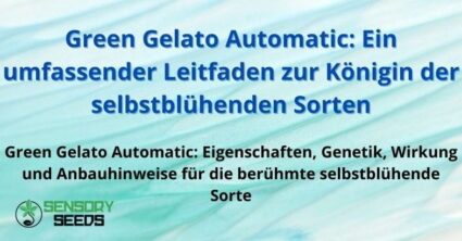 Green Gelato Automatic: Ein umfassender Leitfaden